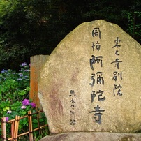 防府　阿弥陀寺の紫陽花