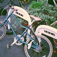 KONICA(コニカ)のフィルムカメラFantasio 80z で撮影した写真(画像