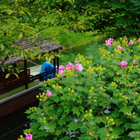 花と舟