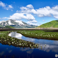 尾瀬ヶ原の写真(画像)・写真集 - 写真共有サイト:PHOTOHITO