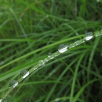 CANON(キヤノン)のデジタルカメラPowerShot SX130 IS で撮影した写真