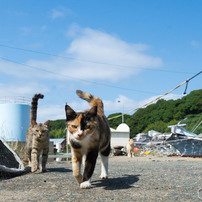(^_^)／おはよー