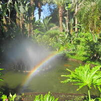 CANON(キヤノン)のデジタルカメラPowerShot SX130 IS で撮影した写真