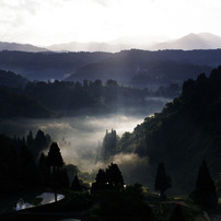 Early Autumn