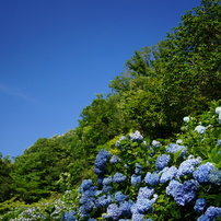 SIGMA 30mm F2.8 EX DN レンズ撮影画像有り SIGMA 30mm F2.8 EX DNで撮影された写真 | 写真検索 | GANREF