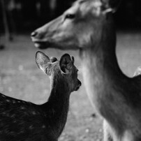 2010 Early Fall in NARA