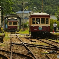 SIGMA(シグマ)のレンズ APO 100-300mm F4 EX DG HSM (ｺﾆｶﾐﾉﾙﾀ AF) で