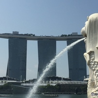 シンガポール