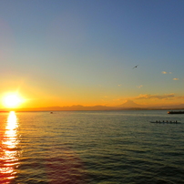 CASIO(カシオ)のデジタルカメラHIGH SPEED EXILIM EX-ZR1700 で撮影