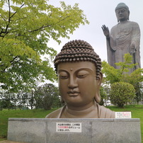 牛久大仏なう