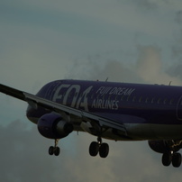 素晴らしい体験 Sigma 170-500mm SONY ミノルタ用 #7796 素晴らしい体験 Sigma 170-500mm SONY ミノルタ用 #7796