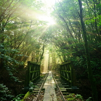 YAKUSHIMA