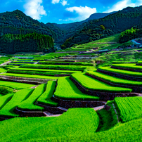 夏ノ棚田