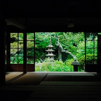 NIKON(ニコン)のデジタル一眼D2X で撮影した写真(画像)一覧- 写真共有