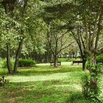 初秋の智光山公園散策7