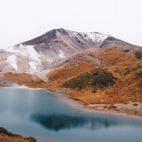 PENTAX(ペンタックス)のフィルムカメラMZ-60 で撮影した写真(画像)一覧