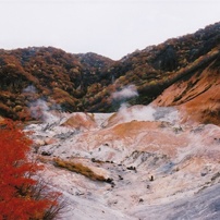 PENTAX(ペンタックス)のフィルムカメラMZ-60 で撮影した写真(画像)一覧