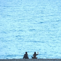 海