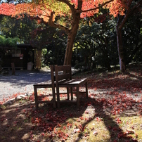 京都の秋