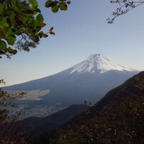 秀峰富士