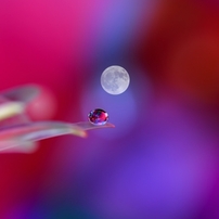 Water drops VOL.1