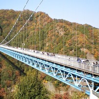 PENTAX(ペンタックス)のデジタルカメラOptio V10 で撮影した写真(画像