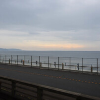 DSC_0016_486