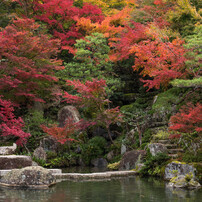 2018 紅葉