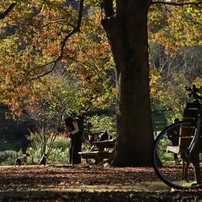 午後の公園