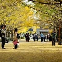 autumn for tokyoites