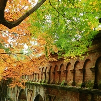 京都風景