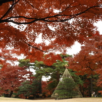 殿ヶ谷戸庭園3