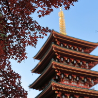 高幡不動50