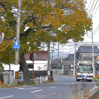 写真エッセイ：バス、浜街道をゆく：NTW152