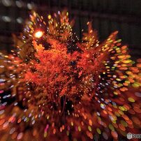 LENSBABY(レンズベビー)のレンズ コンポーザープロII スウィート50