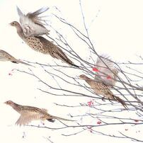 Flying away