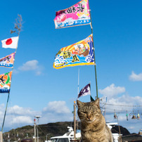 お正月だね