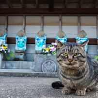 お地蔵様の前で