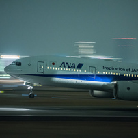 SIGMA(シグマ)のレンズ APO MACRO 180mm F3.5 EX DG/HSM (ﾆｺﾝ AF) で