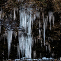 つららの写真 画像 写真集 写真共有サイト Photohito