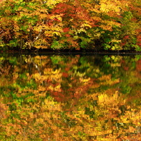 鎌池紅葉2010～旬を愉しむ～