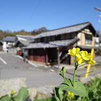 太山寺〜春近し＃２