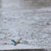 雪の日”寒”