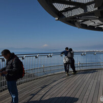 江の島・富士を望んで20190203