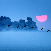 夜明けの写真 画像 写真集 写真共有サイト Photohito