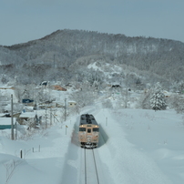 SIGMA(シグマ)のレンズ COMPACT HYPERZOOM 28-200mm F3.5-5.6 ASPHERICAL MACRO  で撮影した写真(画像)一覧- 写真共有サイト:PHOTOHITO