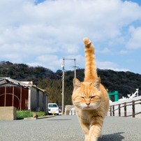 (´・ω・｀)やあ