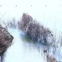 水のある風景 63