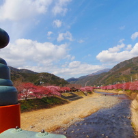 オリンパスSP-810UZ❤野球、運動会の撮影に❤望遠864mmスマホに写真転送 l_K0000281172.jpg