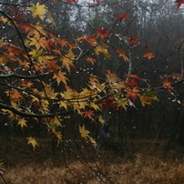ABC写真クラブ 2015-3